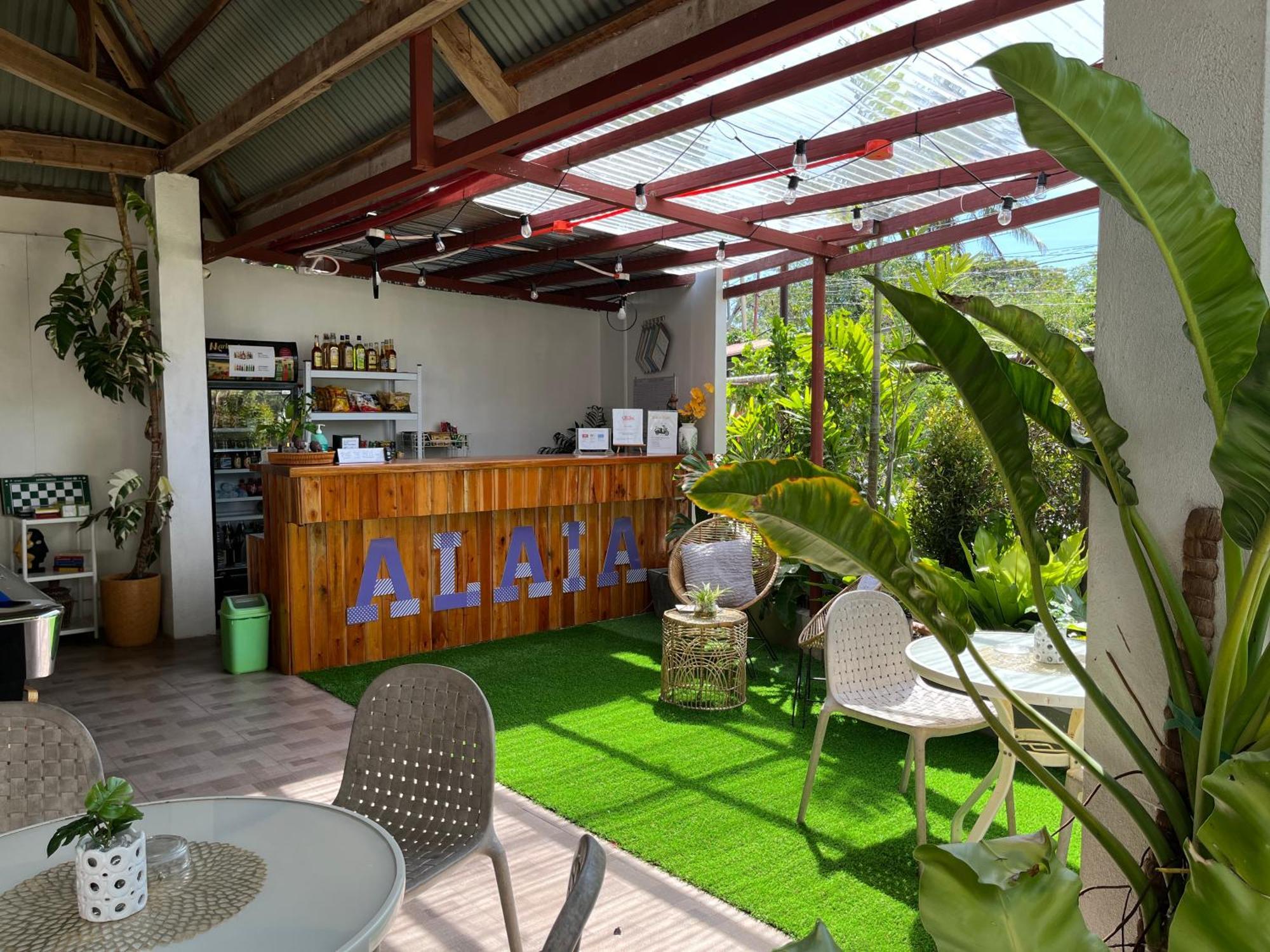 Alaia Studios Đảo Đảo Panglao Ngoại thất bức ảnh